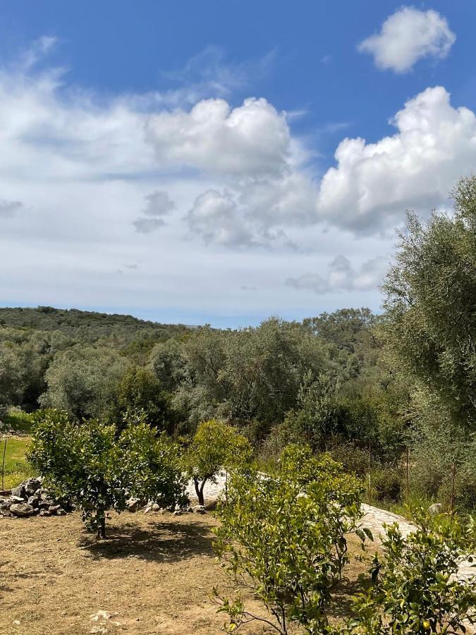 Vlastaras Apartment Sivota  Bagian luar foto